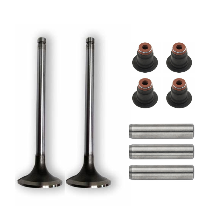 Valvulas, Guias y Sellos de Motor